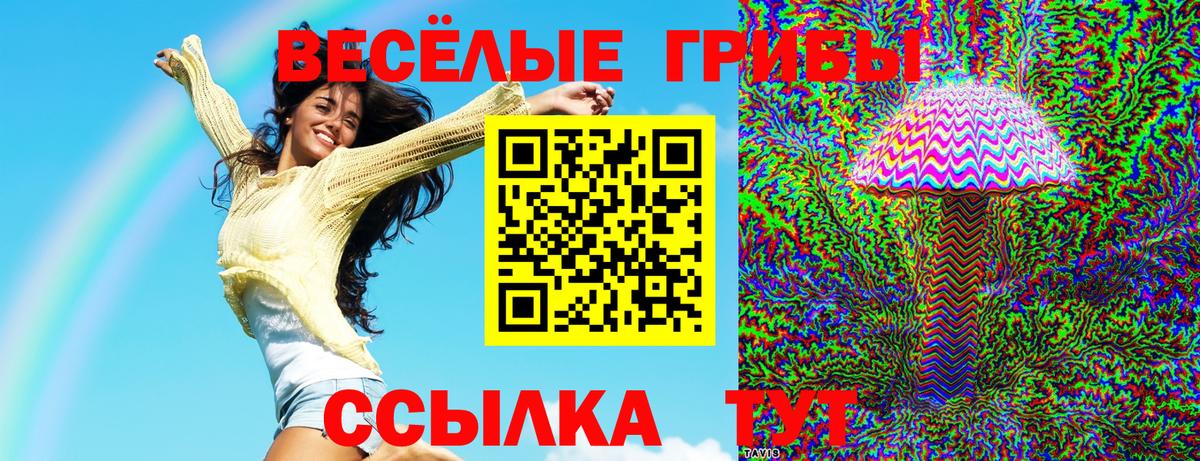 Галлюциногенные грибы MAGIC MUSHROOMS  Вход с VPN  Донецк  Галлюциногенные грибы Cubensis 