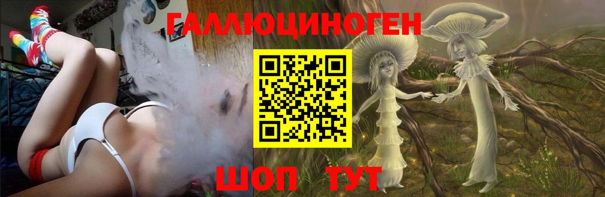 Галлюциногенные грибы Psilocybine cubensis Донецк